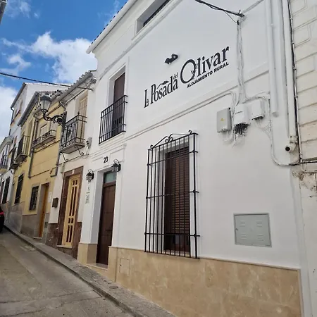La Del Olivar * Baena